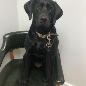 Meet your Posher, Garey